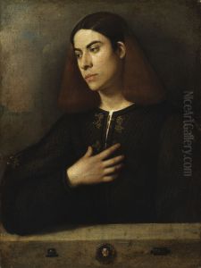 Portrait of a Youth (Antonio Broccardo) 1508-10