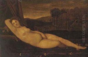 The Sleeping Venus