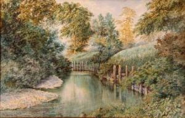 Marl Pit
Near Coltishall - view 1