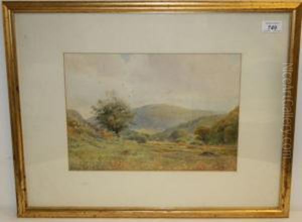 Rural View - view 1