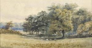 Scratchby Beech Scratchby Beech
