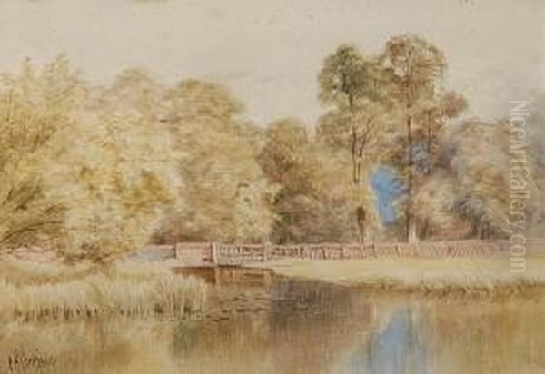 Boreham Mill Pool Near Chelmsford - view 1