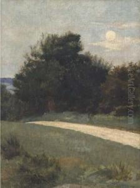 Moonlight - view 1