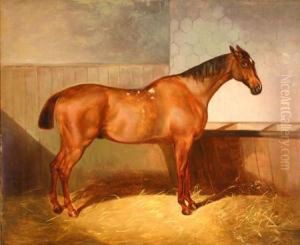 Bay Feeding In A Stall