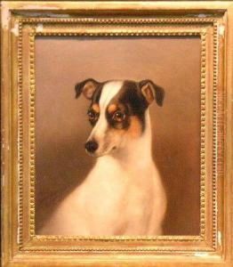 Smooth Fox Terrier