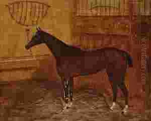 Portrait Of Chestnut Mare - view 1