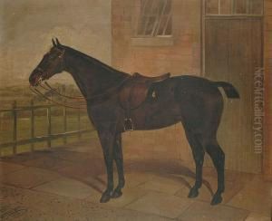 Portrait Of A Chestnut Mare In A Stable-yard