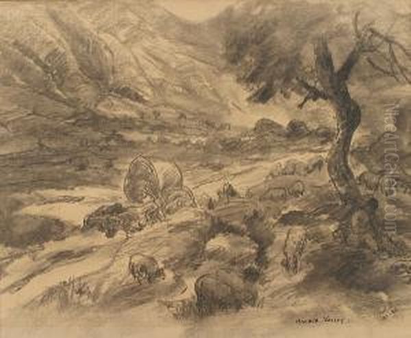 Oaxaca Valley - view 1