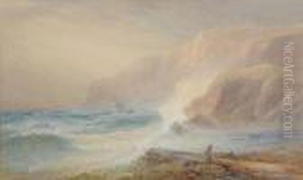 Rescue On The Lizard Coast. - view 1