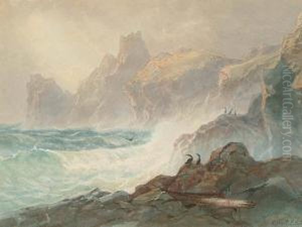 Comorants Off The Lizard Coast - view 1