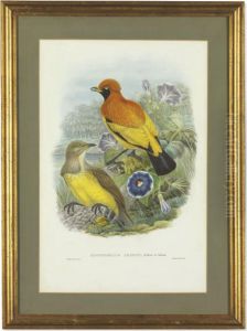Birds Of Paradise: Five Prints by William M. Hart