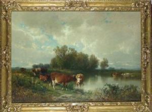 Cattle Watering Cattle Watering