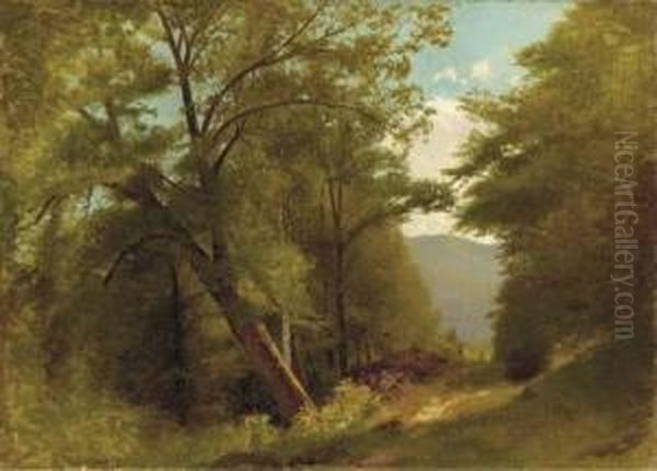 In The Keene Valley - view 1