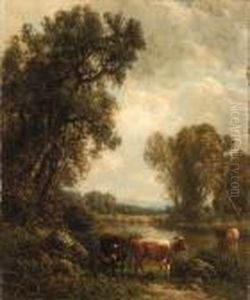 Cows By The Stream Cows By The Stream