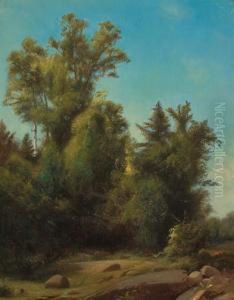 A Wooded Landscape by William M. Hart