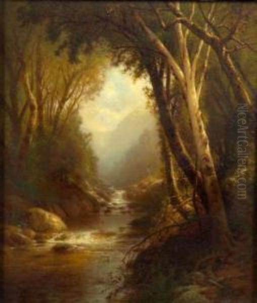 River Cascades - view 1