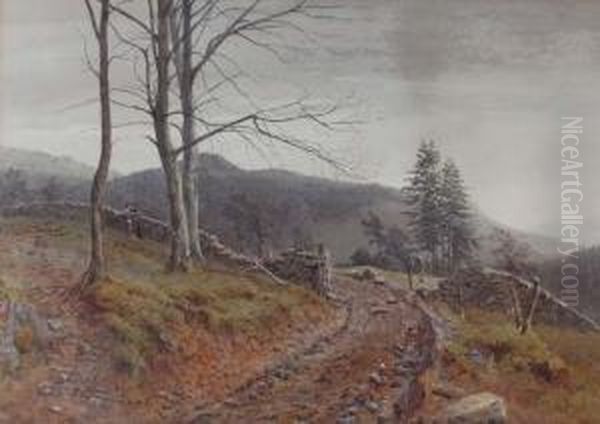 Hillside Track - view 1