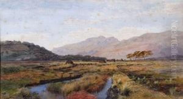 Marshes Before An Extensive Mountainous Landscape - view 1