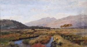 Marshes Before An Extensive Mountainous Landscape