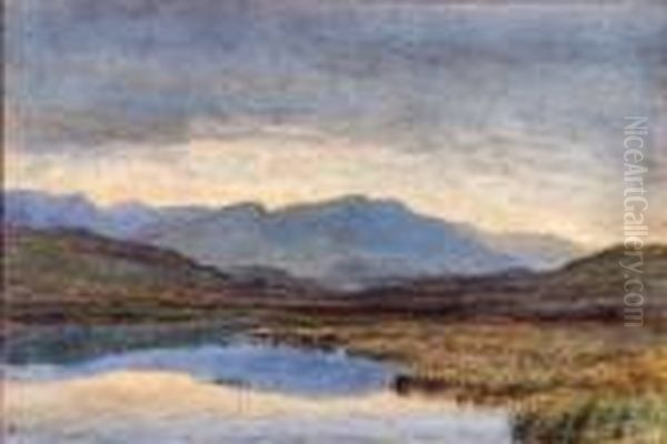 Lake And Mountain Landscape With Marshes In The Foreground - view 1