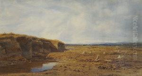 Extensive Bogland Scene With Figures - view 1
