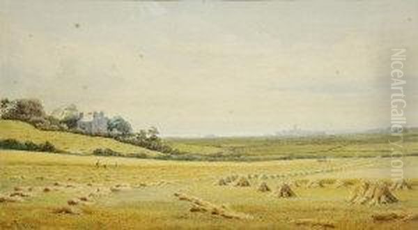 Harvesting Scene In Coastal Landscape - view 1