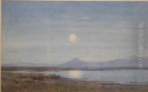 Moonlight, Co Mayo by Henry Albert Hartland