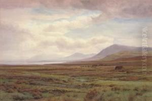 On The Moors, Achill Island, Co. Mayo, Ireland