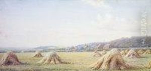 Haystacks In A Rural Landscape