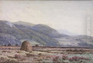 Coastal And Bogland Scenes