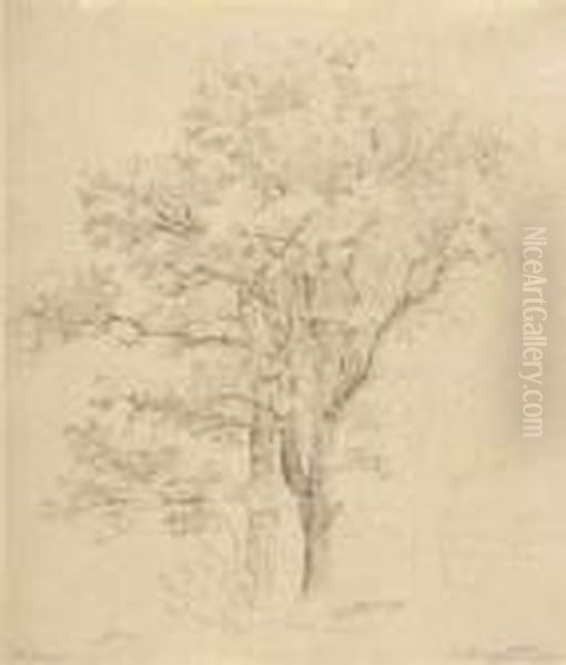 Eichen In Vollem Laub. 1855 - view 1