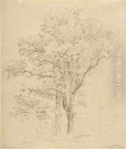 Eichen In Vollem Laub. 1855 by Ludwig Hartmann