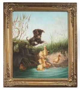 A Young Dog Is Hunting Poults