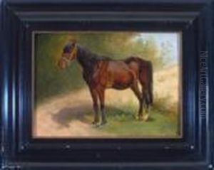Brauner Vor Landschaft Brauner Vor Landschaft
