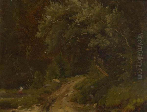 Waldweg. - view 1