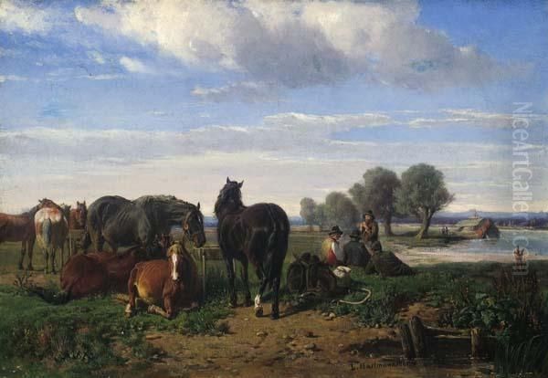 Horses Resting Along A River - view 1