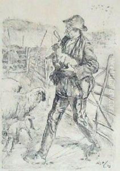 Lambing - view 1