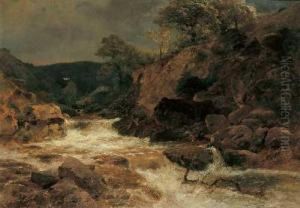 Flusslandschaft Mit Stromschnellen