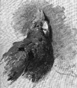 H. "der Papagei Coco". Sign.,
Betitelt Und Dat. Dez. 92. Ol Auf Lwd. 22,5 X 20 Cm. Rahmen by Hermann Hartwich