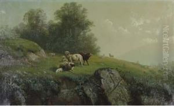 Sheep On A Rocky Hillside - view 1