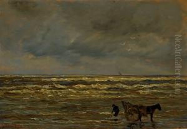 Shell-gatherer On The Beach - view 1