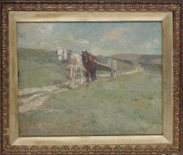 Harvey - view 1
