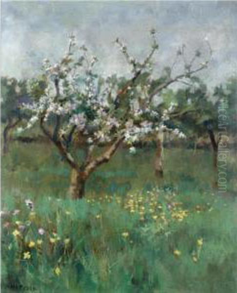 Apple Blossom - view 1