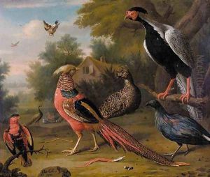 Exotic Pheasants and Other Birds 1740 by Charles Collins