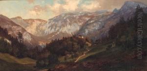 Das Keltengraber Feld Bei Hallstadt