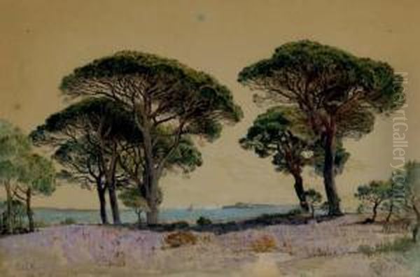 Study After The Landscape Of Cannes - view 1