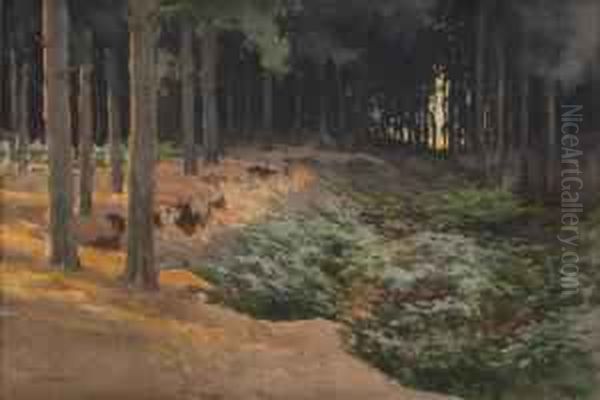 Woodland Pathway With Sunset In The Distance - view 1