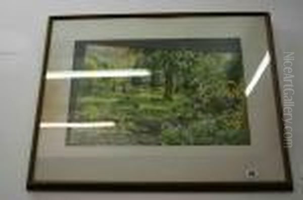 Reverend S. Weekes Collection - view 1