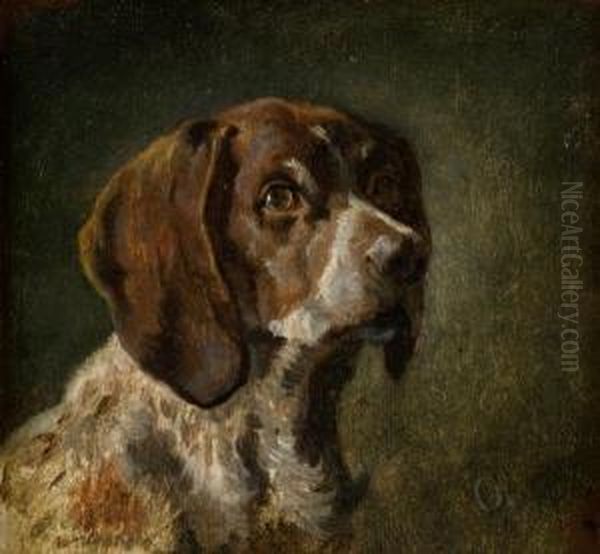 Cane - view 1