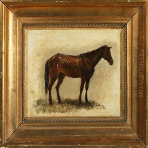 A Horse - view 1